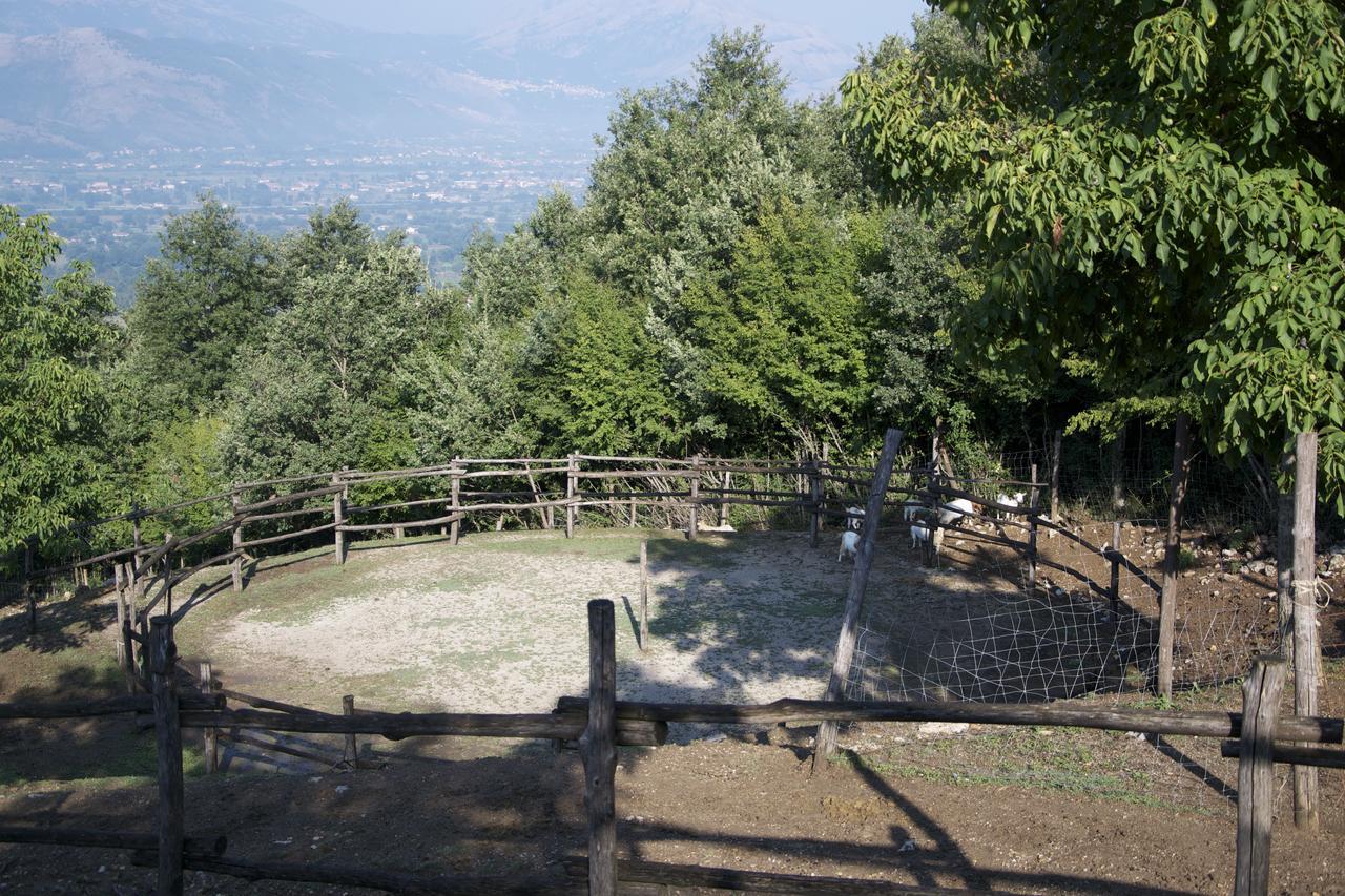 Fattoria Alvaneta Падула Экстерьер фото