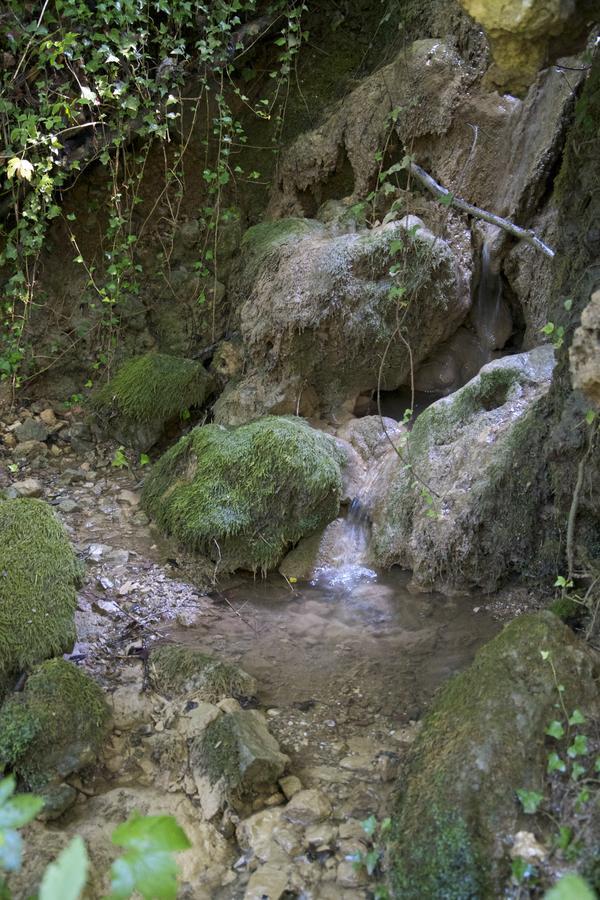 Fattoria Alvaneta Падула Экстерьер фото